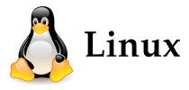 IT management Linux operating systems and software